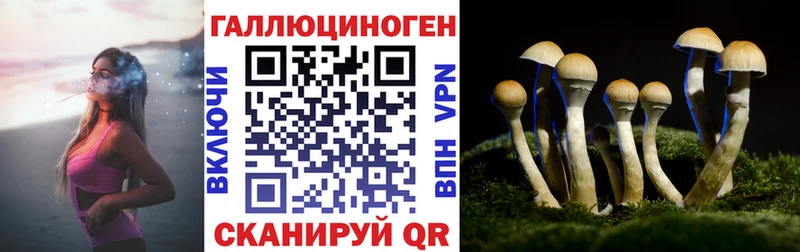 ссылка на мегу ссылка  Адыгейск  Псилоцибиновые грибы Psilocybine cubensis  как найти  